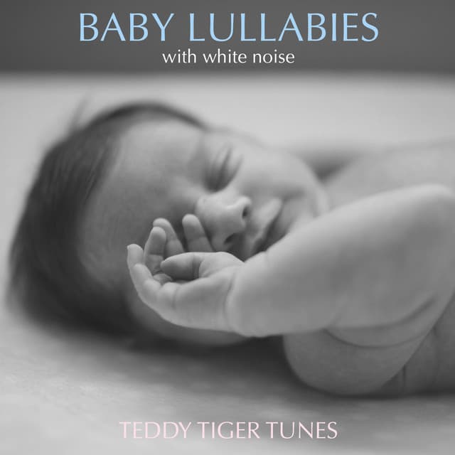 Teddy Tiger Tunes