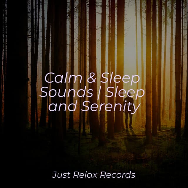 Calm & Sleep Sounds | Sleep and Serenity - Smart Baby Lullaby