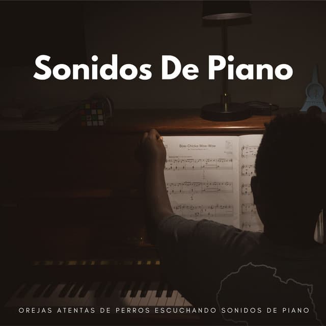 Orejas Atentas De Perros Escuchando Sonidos De Piano - Academia Jazz Piano Bar