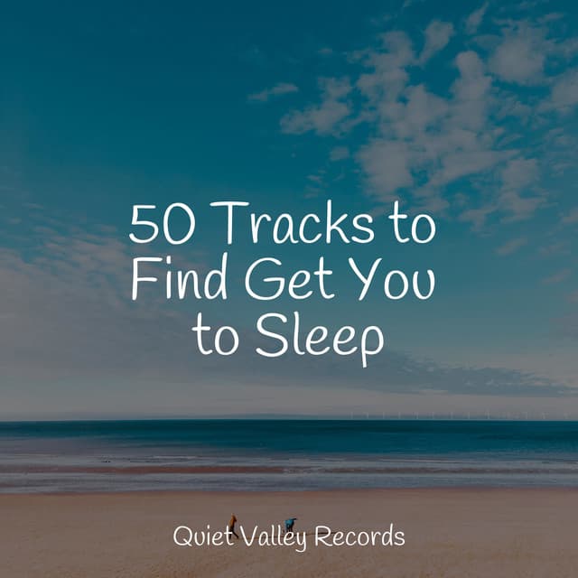 50 Tracks to Find Get You to Sleep - Fabricantes De Lluvia