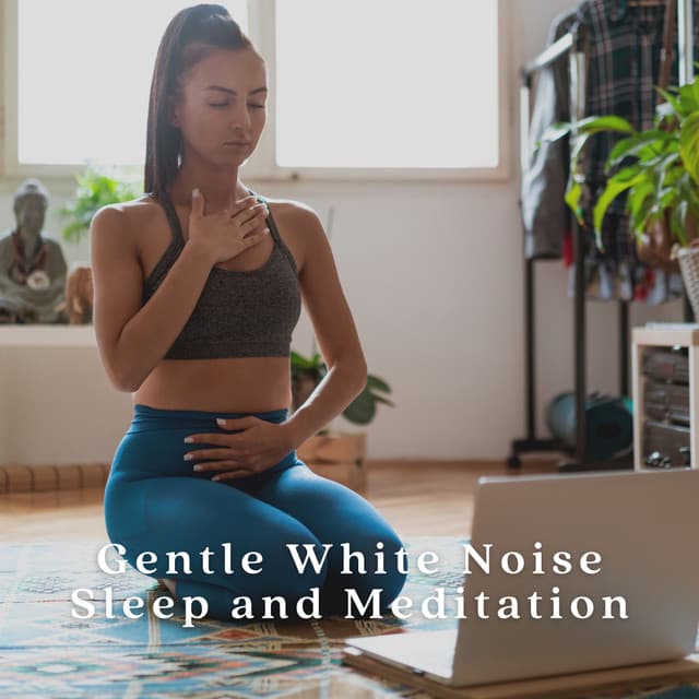Gentle White Noise Sleep and Meditation - The White Noise Zen & Meditation Sound Lab