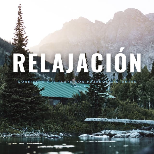Relajación: Corriente Que Fluye Con Pájaros Distantes Vol. 1 - Grabaciones de campo de la naturaleza