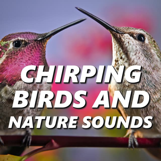 Chirping Birds & Nature Sounds - Nature And Bird Sounds