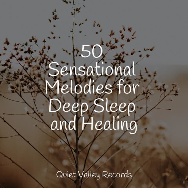 50 Sensational Melodies for Deep Sleep and Healing - Calm Shores