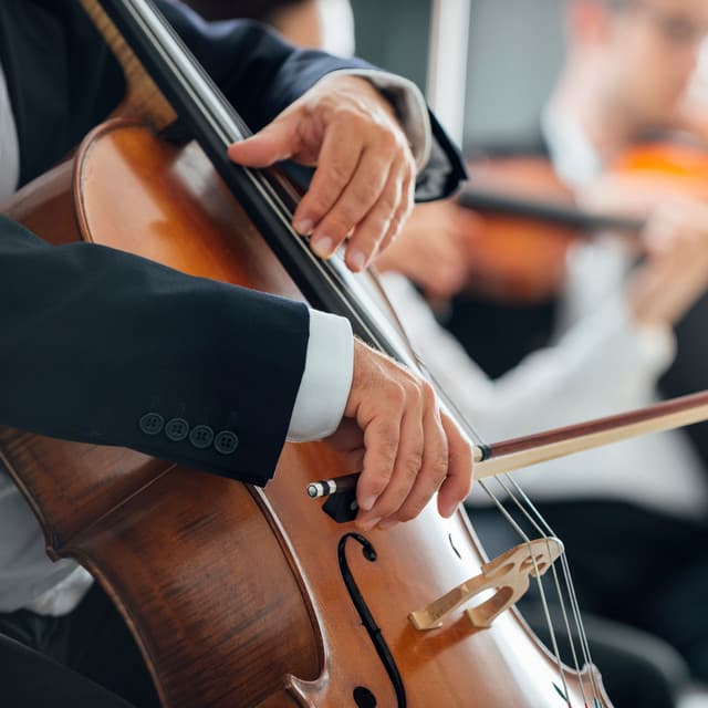 Orchestra of Calm: Symphony for Meditation - Charles Anderson