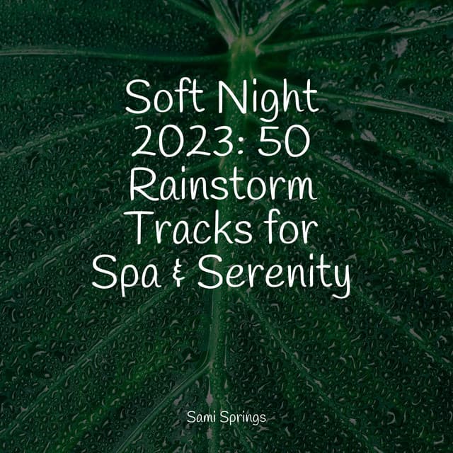 Soft Night 2023: 50 Rainstorm Tracks for Spa & Serenity - Rain
