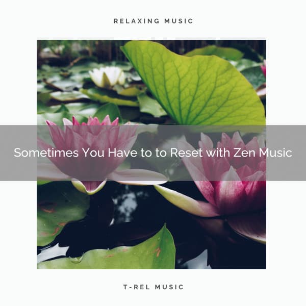 2020 Best: Sometimes You Have to to Reset with Zen Music - Best Relaxing SPA Music