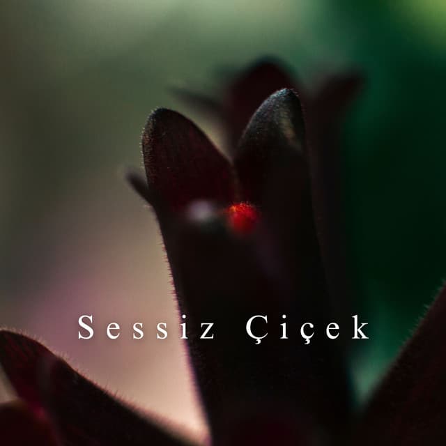 Sessiz Çiçek: Doğanın Sessiz Nefesi - Gevşeme Meditasyon Akademisi