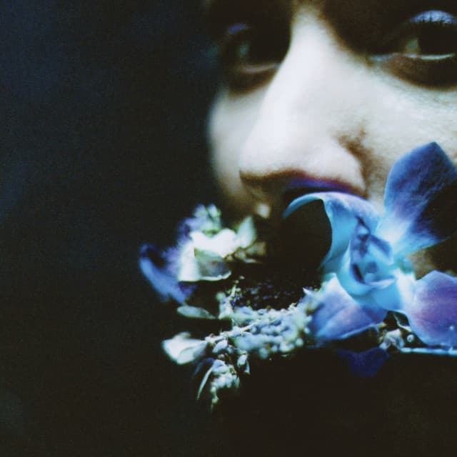 Reaching For Indigo - Circuit des Yeux