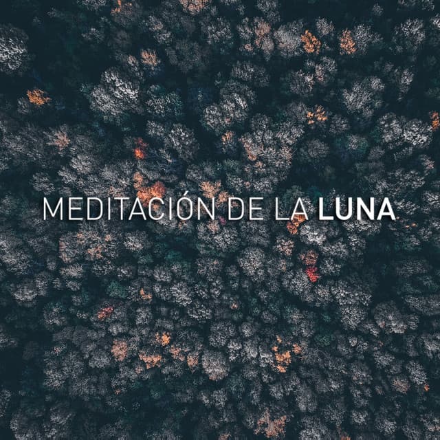 Yoga Music - Luna Tunes