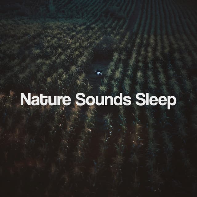 Nature Sounds Sleep - Nature Sounds Nature Music