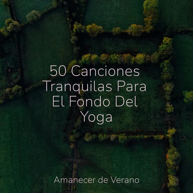 50 Canciones Tranquilas Para El Fondo Del Yoga - Nature Sounds Nature Music