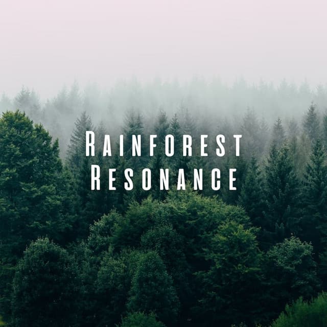 Rainforest Resonance: Forest Rain for Mindful Relaxation - Nature Label