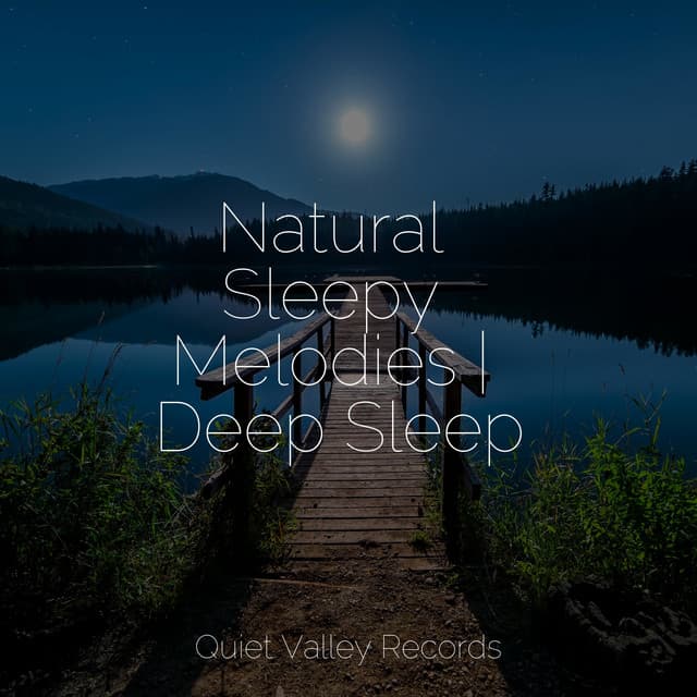 Natural Sleepy Melodies | Deep Sleep - Chakra Meditation Universe