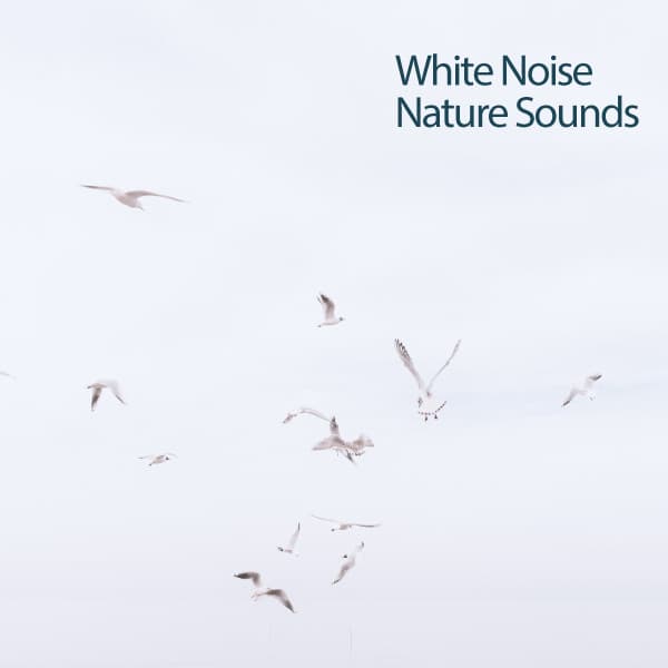 White Noise Nature Sounds - White Noise Spa
