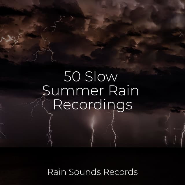 50 Slow Summer Rain Recordings - Natureza