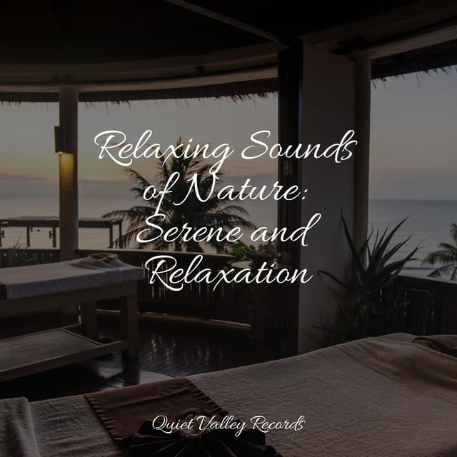Relaxing Sounds of Nature: Serene and Relaxation - Especialistas de Musica para Dormir