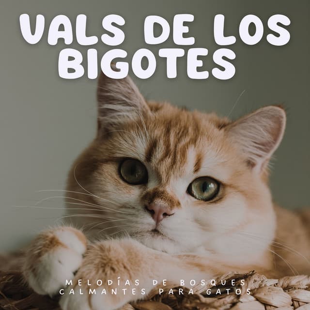 Vals de los Bigotes: Melodías de Bosques Calmantes para Gatos - Sonido Del Bosque y Naturaleza