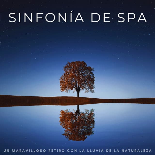 Sinfonía De Spa: Un Maravilloso Retiro Con La Lluvia De La Naturaleza - Ritmos Lofi Hop-Hop