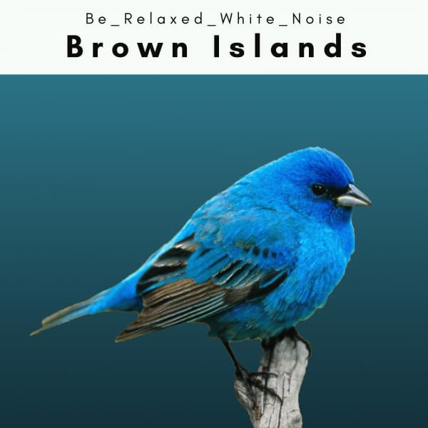 2 0 2 2 Brown Islands - Be Relaxed White Noise