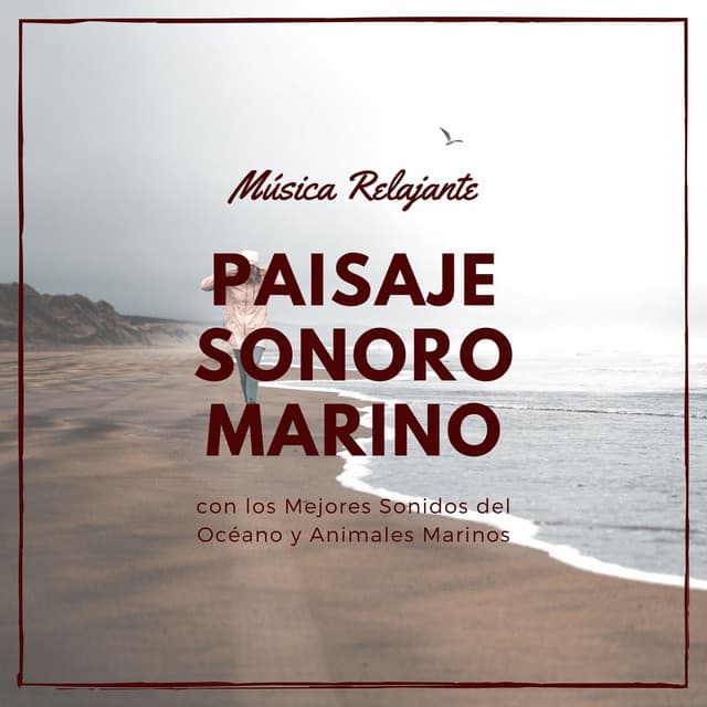 Paisaje Sonoro Marino: Música Relajante con los Mejores Sonidos del Océano y Animales Marinos - Olas del Mar