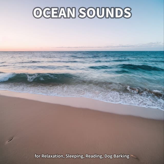 #1 Ocean Sounds for Relaxation, Sleeping, Reading, Dog Barking - Ocean Sounds Collection