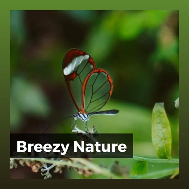 Breezy Nature - Nature Sleep