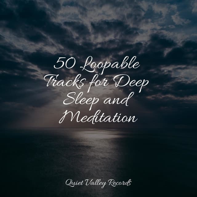 50 Loopable Tracks for Deep Sleep and Meditation - Sol y Lluvia