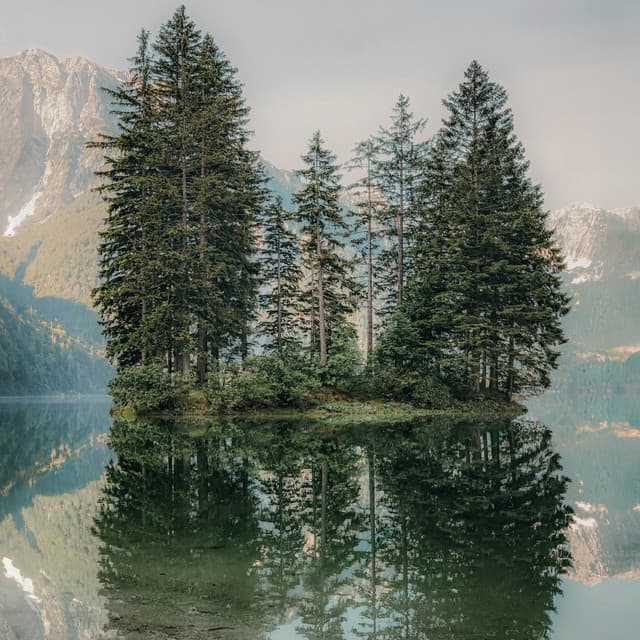 50 Masking Melodies: River Flow - White Noise for Babies