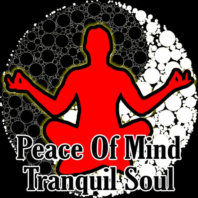 Peace Of Mind Tranquil Soul - Meditation Masters