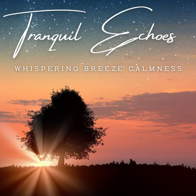 Tranquil Echoes: Meditative Serenity Sessions - faint echoes