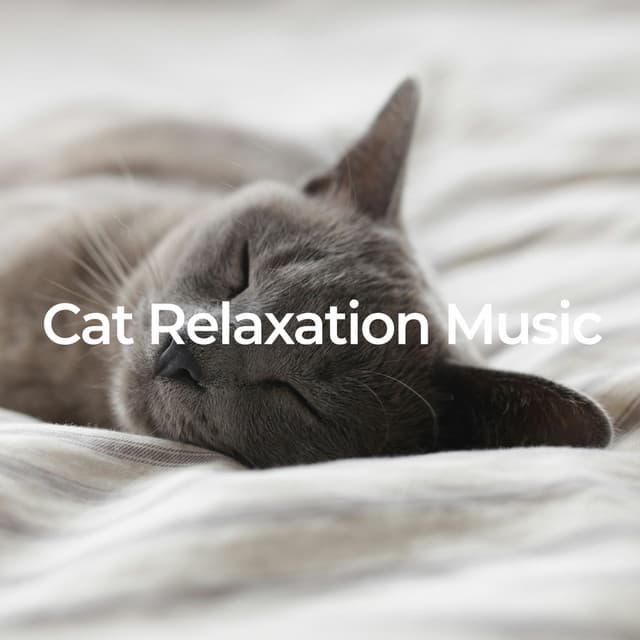Cat Relaxation Music - Pet Relax Academy