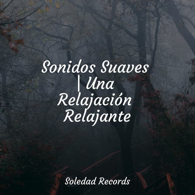 Sonidos Suaves | Una Relajación Relajante - Meditación Guiada