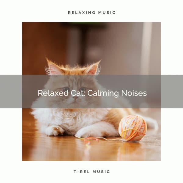 1 Relaxed Cat: Calming Noises - Calming Music For Pets