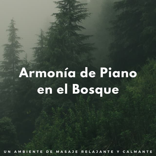 Armonía De Piano En El Bosque: Un Ambiente De Masaje Relajante Y Calmante - PianoPinceOfAnime