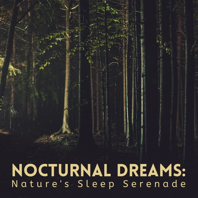 Nocturnal Dreams: Nature's Sleep Serenade - The Nature Project