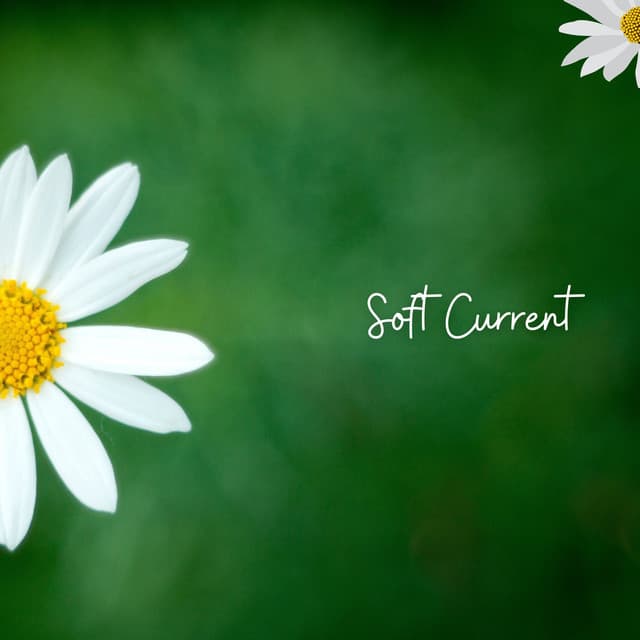 Soft Current - Nature Sounds Nature Music
