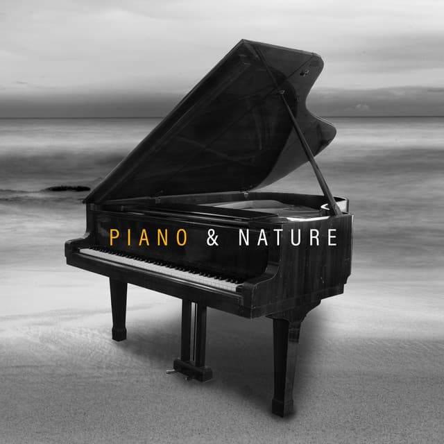 Instrumental Piano Universe