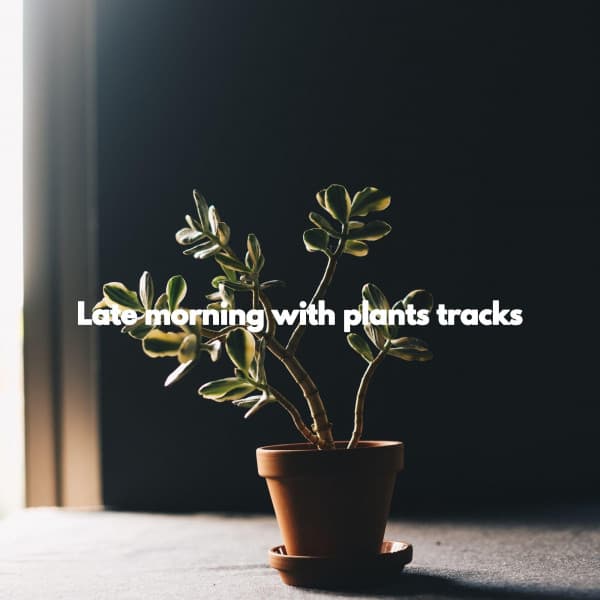 Late morning with plants tracks - Musica da Ristorante