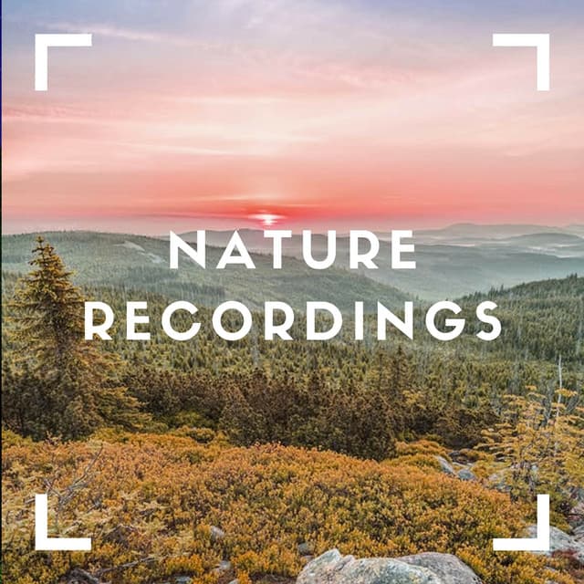 Quiet Storm For Sleep - Natural Sample Makers