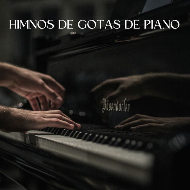 Himnos De Gotas De Piano - Efectos especiales de lluvia del bosque