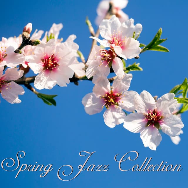 Spring Jazz Collection - Smooth Jazz Creator