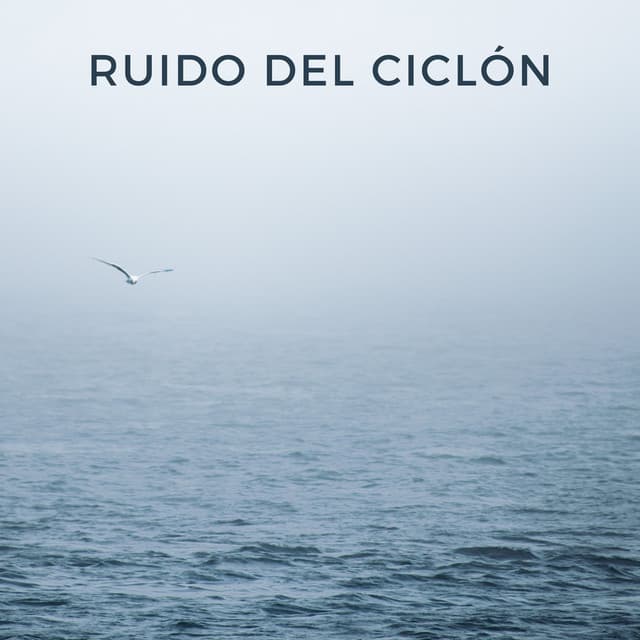 Ruido Del Ciclón - Bonitos ruidos de lluvia