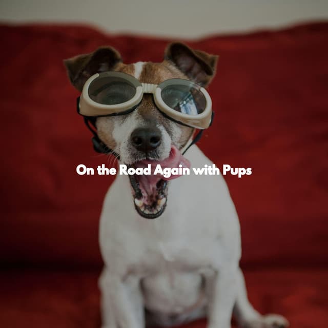 On the Road Again with Pups - Musica di Sottofondo Jazz