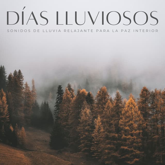 Días Lluviosos: Sonidos De Lluvia Relajante Para La Paz Interior - Música de día lluvioso