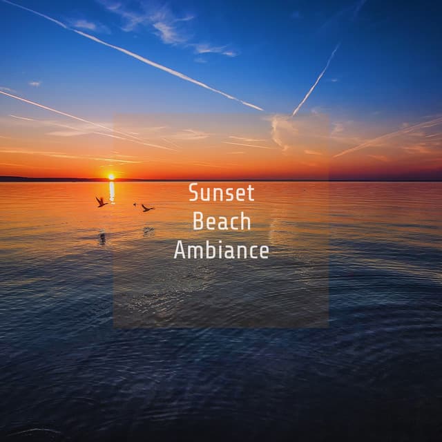 Sunset Beach Ambience - Ocean Waves
