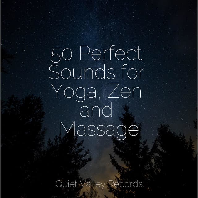 50 Perfect Sounds for Yoga, Zen and Massage - Ocean Sounds