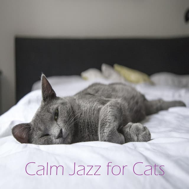 Calm Jazz for Cats - Calm Music for Cats