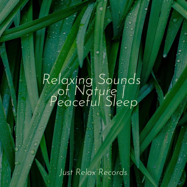 Relaxing Sounds of Nature | Peaceful Sleep - Música para Relajarse Profundamente