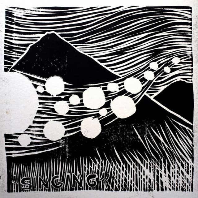 The Singing from Mount Eerie - The Microphones